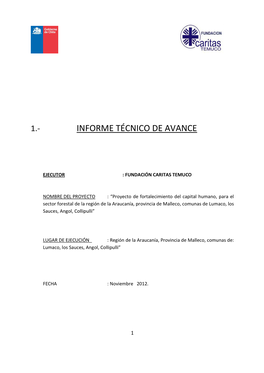 Primer Informe De Avance