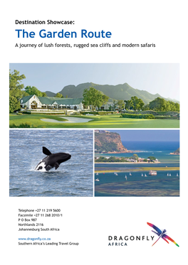 The Garden Route a Journey of Lush Forests, Rugged Sea Cliffs and Modern Safaris