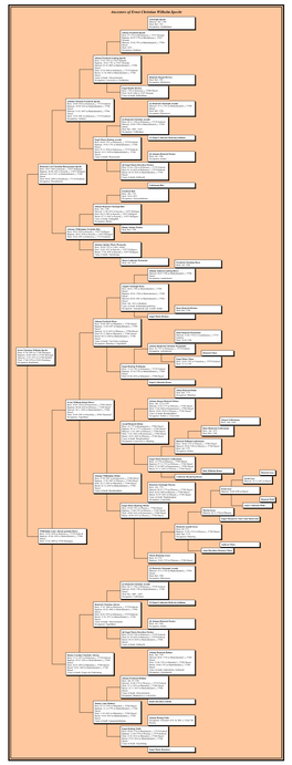 Family Tree Maker