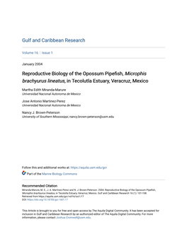 Reproductive Biology of the Opossum Pipefish, Microphis Brachyurus Lineatus, in Tecolutla Estuary, Veracruz, Mexico