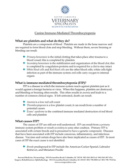 Canine Immune-Mediated Thrombocytopenia SCVS