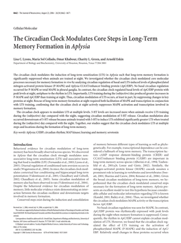 The Circadian Clock Modulates Core Steps in Long-Term Memory Formation in Aplysia