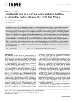 Helarchaeota and Co-Occurring Sulfate-Reducing Bacteria in Subseafloor