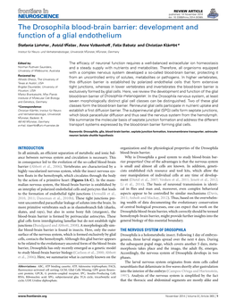 The Drosophila Blood-Brain Barrier: Development and Function of a Glial Endothelium