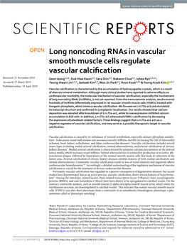 Long Noncoding Rnas in Vascular Smooth Muscle Cells Regulate