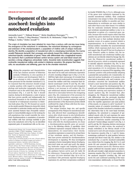 Development of the Annelid Axochord: Insights Into Notochord Evolution Antonella Lauri Et Al