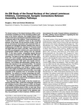 An EM Study of the Dorsal Nucleus of the Lateral Lemniscus: Inhibitory, Commissural, Synaptic Connections Between Ascending Auditory Pathways