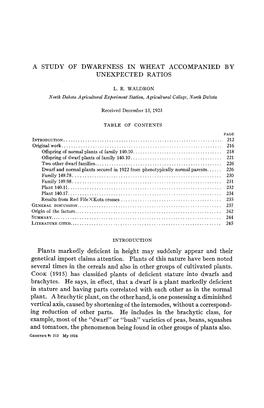 A Study of Dwarfness in Wheat Accompanied