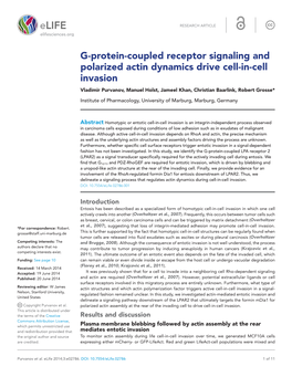 G-Protein-Coupled Receptor Signaling and Polarized Actin Dynamics Drive