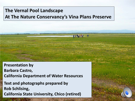 The Vernal Pool Landscape at the Nature Conservancy's Vina Plans