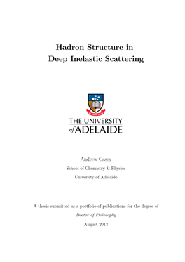 Hadron Structure in Deep Inelastic Scattering