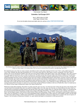 Field Guides Tour Report Colombia: Cali Escape 2019