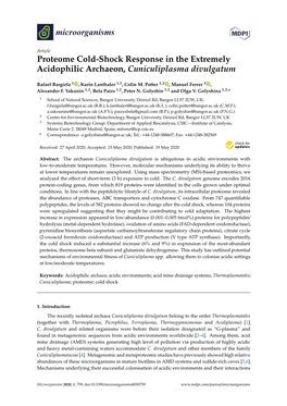 Proteome Cold-Shock Response in the Extremely Acidophilic Archaeon, Cuniculiplasma Divulgatum