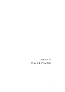 CLAY MINERALOGY Chapter VI
