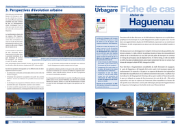 Fiche Haguenau