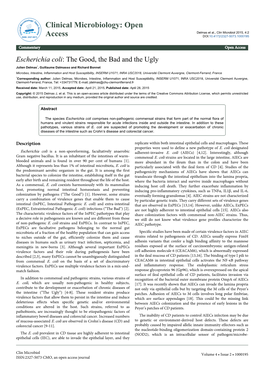 Escherichia Coli