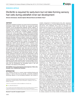 Dlx3b/4B Is Required for Early-Born but Not Later-Forming Sensory Hair Cells