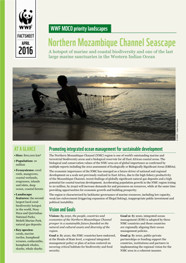 Northern Mozambique Channel Seascape