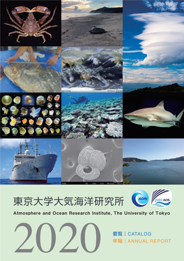 東京大学大気海洋研究所 Atmosphere and Ocean Research Institute, the University of Tokyo / ANNUAL REPORT