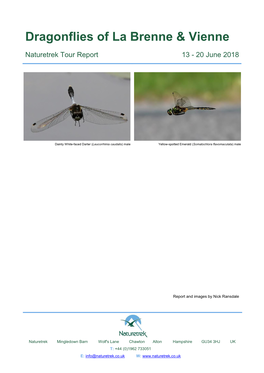 Dragonflies of La Brenne & Vienne