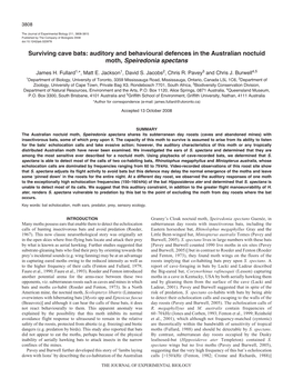 Surviving Cave Bats: Auditory and Behavioural Defences in the Australian Noctuid Moth, Speiredonia Spectans