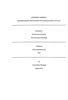 The Diplomatic Battle for the United States, 1914-1917