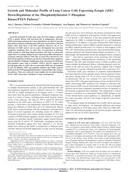 Growth and Molecular Profile of Lung Cancer Cells Expressing Ectopic LKB1: Down-Regulation of the Phosphatidylinositol 3؅-Phosphate Kinase/PTEN Pathway1