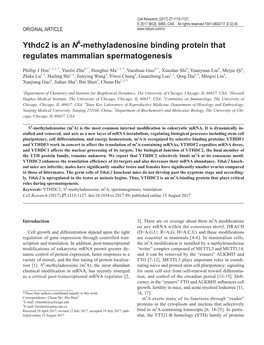 Ythdc2 Is an N6-Methyladenosine Binding Protein That Regulates Mammalian Spermatogenesis