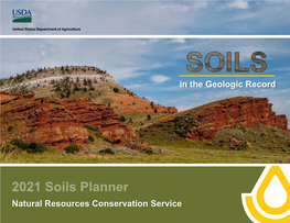 Soils in the Geologic Record