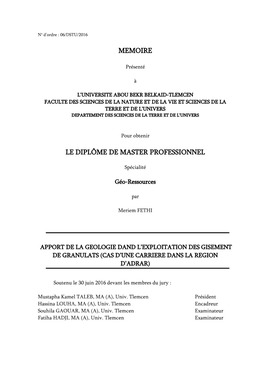 Memoire Le Diplôme De Master Professionnel