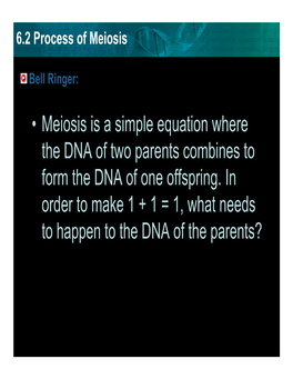 Meiosis Is a Simple Equation Where the DNA of Two Parents Combines to Form the DNA of One Offspring