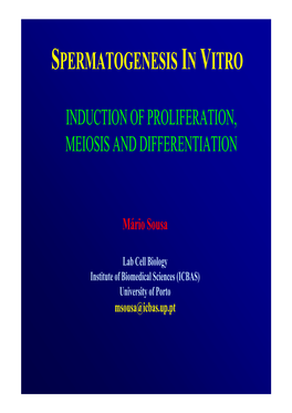 Spermatogenesis in Vitro