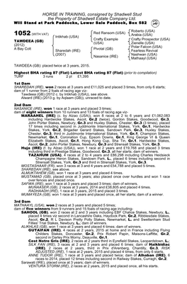 HORSE in TRAINING, Consigned by Shadwell Stud the Property of Shadwell Estate Company Ltd