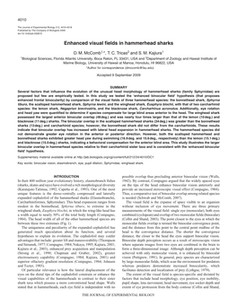 Enhanced Visual Fields in Hammerhead Sharks