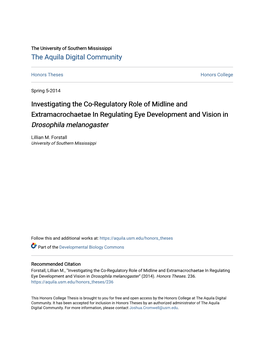 Investigating the Co-Regulatory Role of Midline and Extramacrochaetae in Regulating Eye Development and Vision in Drosophila Melanogaster