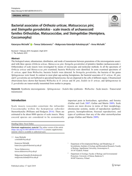 Bacterial Associates of Orthezia Urticae, Matsucoccus Pini, And