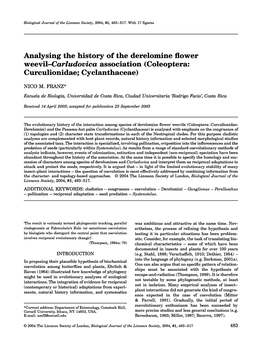 Analysing the History of the Derelomine Flower Weevil-Carludovica Association (Coleóptera: Curculionidae; Cyelanthaeeae)