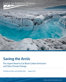 Saving the Arctic the Urgent Need to Cut Black Carbon Emissions and Slow Climate Change