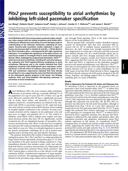 Pitx2 Prevents Susceptibility to Atrial Arrhythmias by Inhibiting Left-Sided Pacemaker Speciﬁcation