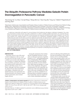 The Ubiquitin-Proteasome Pathway Mediates Gelsolin Protein Downregulation in Pancreatic Cancer