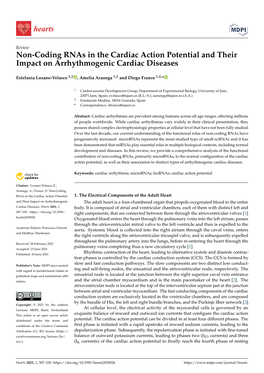 Non-Coding Rnas in the Cardiac Action Potential and Their Impact on Arrhythmogenic Cardiac Diseases