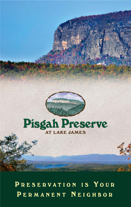 Pisgah Preserve Brochure