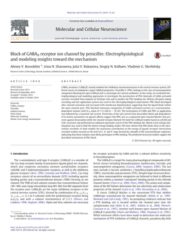 Block of GABAA Receptor Ion Channel by Penicillin: Electrophysiological and Modeling Insights Toward the Mechanism