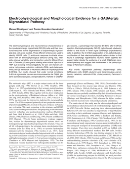 Electrophysiological and Morphological Evidence for a Gabaergic Nigrostriatal Pathway