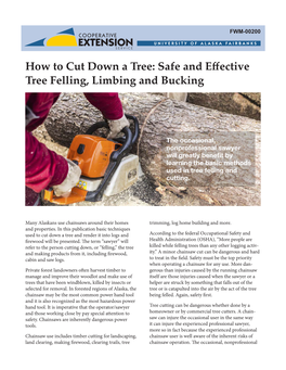 How to Cut Down a Tree: Safe and Effective Tree Felling, Limbing and Bucking