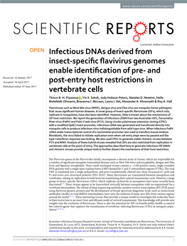 Infectious Dnas Derived from Insect-Specific Flavivirus