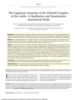 The Ligament Anatomy of the Deltoid Complex of the Ankle: a Qualitative and Quantitative Anatomical Study