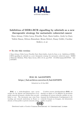 Inhibition of DDR1-BCR Signalling by Nilotinib As a New Therapeutic