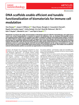 DNA Scaffolds Enable Efficient and Tunable Functionalization of Biomaterials for Immune Cell Modulation