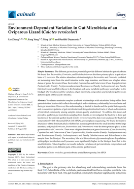 Environment-Dependent Variation in Gut Microbiota of an Oviparous Lizard (Calotes Versicolor)